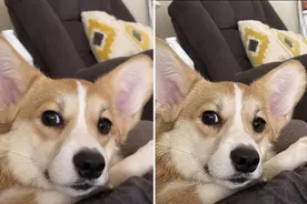 只卖49元的“约P”服务，把我看傻了图片