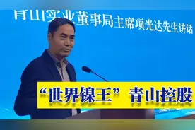 起底“世界镍王”，神秘的青山控股图片