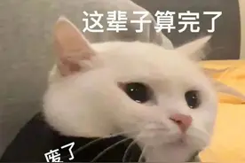 「恶搞段子」无聊的时候来乐一乐图片