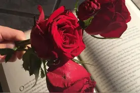 能和你相伴一生的伴侣，都有这8种特质图片