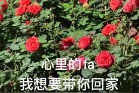 西安12地拆迁、回迁最新消息来了！快看看有没有你关心的→图片