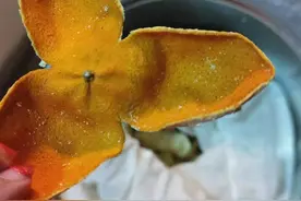 新会陈皮：用沃柑皮“平替”新会柑皮？这个“想得美”操作在蔓延图片