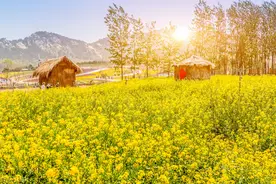 中国古代常见的存粮工具图片