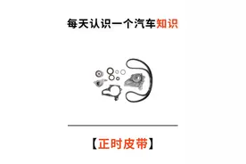 每天认识一个汽车知识——正时皮带图片
