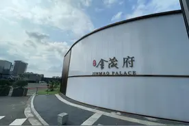 大校场“秦淮金茂府”踩盘评测......图片