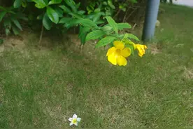 离婚2年，我出差探望前公婆，现场的遭遇，让我崩溃不已！图片