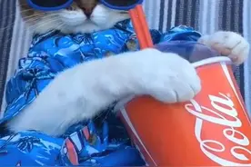 抖音头像：陈冠希头像图片