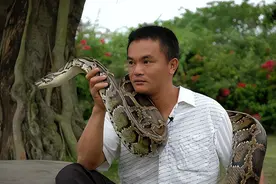 1996年海南小伙救下一条蟒蛇，蟒蛇为报恩甘当保姆，还为主人护院图片