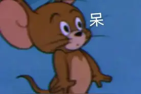 表情包 猫和老鼠专场哦图片
