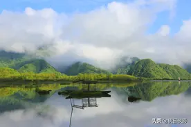 湖北这国家湿地公园蒲公英盛开，山水倒影美如画，五月出游正当时图片