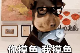 表情包：你摸鱼，我摸鱼，老板宝马变青桔图片