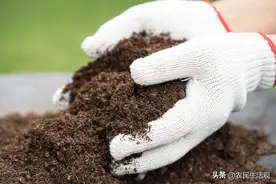 土壤越种越板结，只有3种方法能解决问题，再也没有好方法了图片