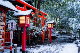 日本经营管理签证和旅游签证有什么不同？怎么申请？注意事项？图片