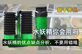 水妖精要怎么使用才能发挥净水作用，为什么有人说：没有用？图片