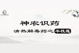 《神农识药》清热解毒药之半枝莲图片