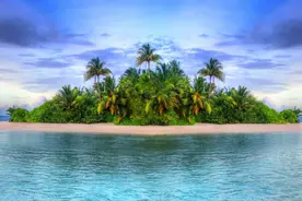 把你孤身一人扔在荒岛上，你能存活多久？图片