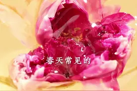 觉得身体很多问题找不到原因？试试这个小茶方：三花陈皮茶...图片