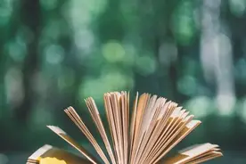 24种中小学教师板书，总有一种适合你（收藏）图片