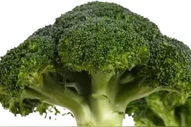 好看又好吃的西兰花，名字高大上，穿个马甲我就不认识你了吗？图片