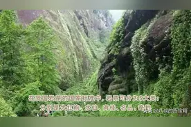 大红袍、名枞、肉桂、水仙、奇种五类，是什么，各有什么特色？图片