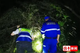 嵊州警民连夜搜寻一名失联挖笋老人，找到时已因病身亡图片