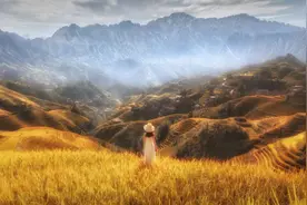 英国大学教授证实：一个人运气好坏，是有因果的图片