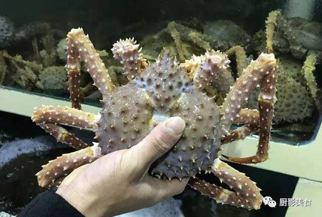 花胶选几级的 花胶等级顺序鱼胶排名大全