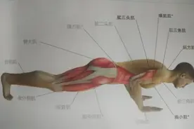 女生俯卧撑做不起来？这样做你就是健身房最靓的崽图片