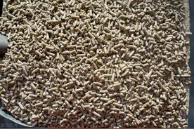 育肥猪颗粒饲料的黑幕2：一吨育肥猪自配全价料的成本是多少钱图片