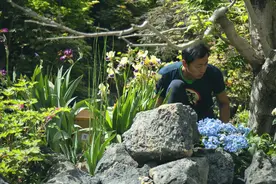 水哥：如果热爱，无需坚持，也不需努力图片