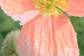 〖形容夏季很燥热的有趣文案〗图片