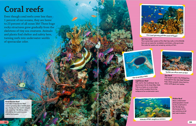 重磅科普视频课《DK findout》，拓展大孩子视野提升见闻