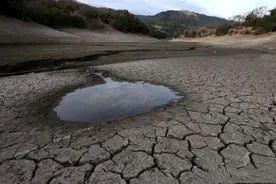 民间故事：村民给河道清淤，挖到大鲶鱼，二爷说，不要伤害它们图片