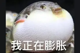 表情包‖我就嘚瑟，有本事你来打我啊！图片