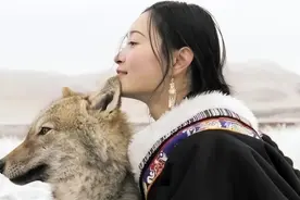 12年前，把狼当儿子带回家的成都女孩，10年后在草原与它再次相认图片