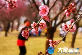 踏青赏花季！郑州公园攻略大全送上图片