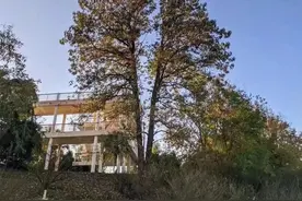 神回复：昆仑山为什么常年重兵把守？图片