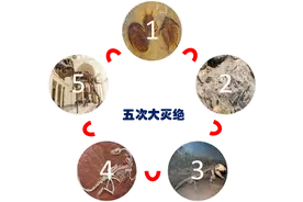 一文读懂地球历史上五次生物大灭绝的时间、规模和原因图片