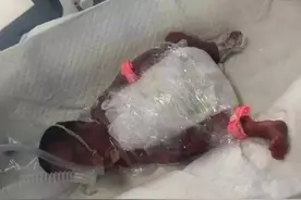 13年产妇高铁厕所早产，孩子出生吓坏众人，高铁首次破例停车待发图片