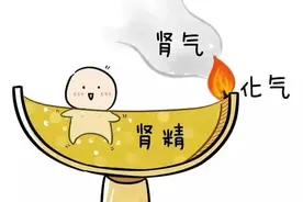 肾好持久，肝强够硬，脾好精旺，简单一招，远离“男”言之隐！图片