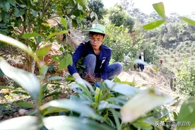 村支书当起“卖货郎”图片