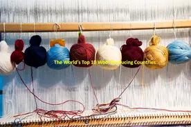 世界十大羊毛生产国, 中国是最大的生产国，也是最大的进口国图片
