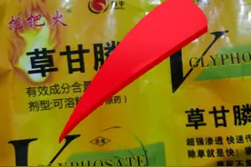 千万别再用草甘膦了，他的替代品来了！一季无草#除草剂图片