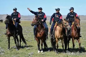 草原深处“海东青”图片
