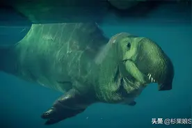 在《侏罗纪世界：进化2》里再现棘龙，但是象鼻渔夫图片