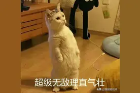 花了一周时间，整理出推荐频率最高的14款办公必备软件图片