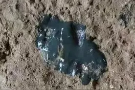 鸡坏死性肠炎的治疗图片