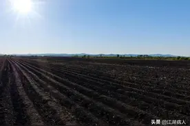 中国的黄土、黑土、红土、白土都在哪？图片