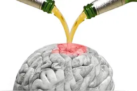 酒其实并不好喝，为什么还会让那么多人喜欢？酒是如何控制大脑的图片