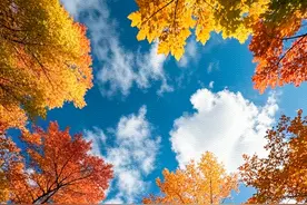 秋天照片要有高级感，用摄影口诀拍照，意境优美不一般图片